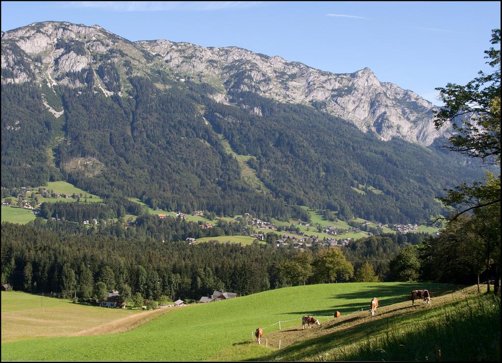 Kalssnhof Lägenhet Bad Aussee Exteriör bild
